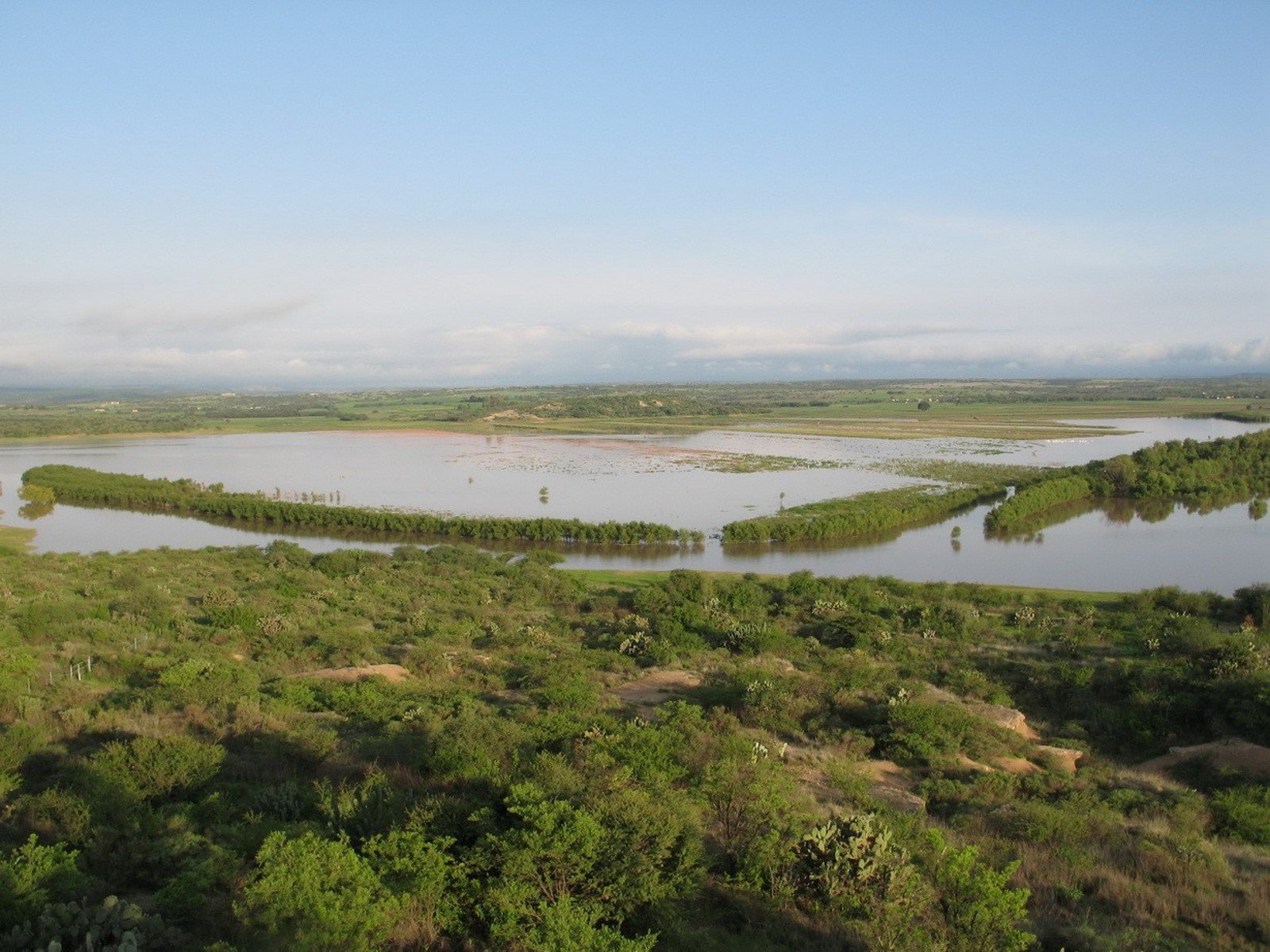 VENTA DE TERRENO EN SAN MIGUEL DE ALLENDE A PIE DE LA PRESA - Image 10