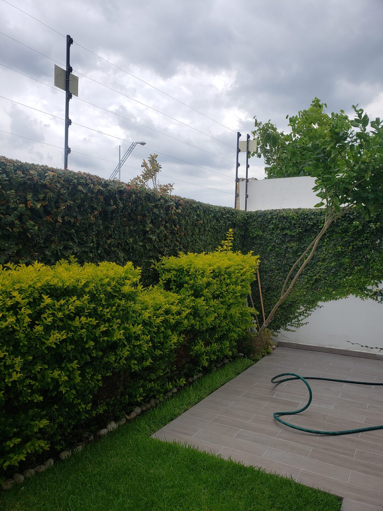 CASA EN VENTA EN JURIQUILLA SAN ISIDRO CON ROOF GARDEN - Image 21