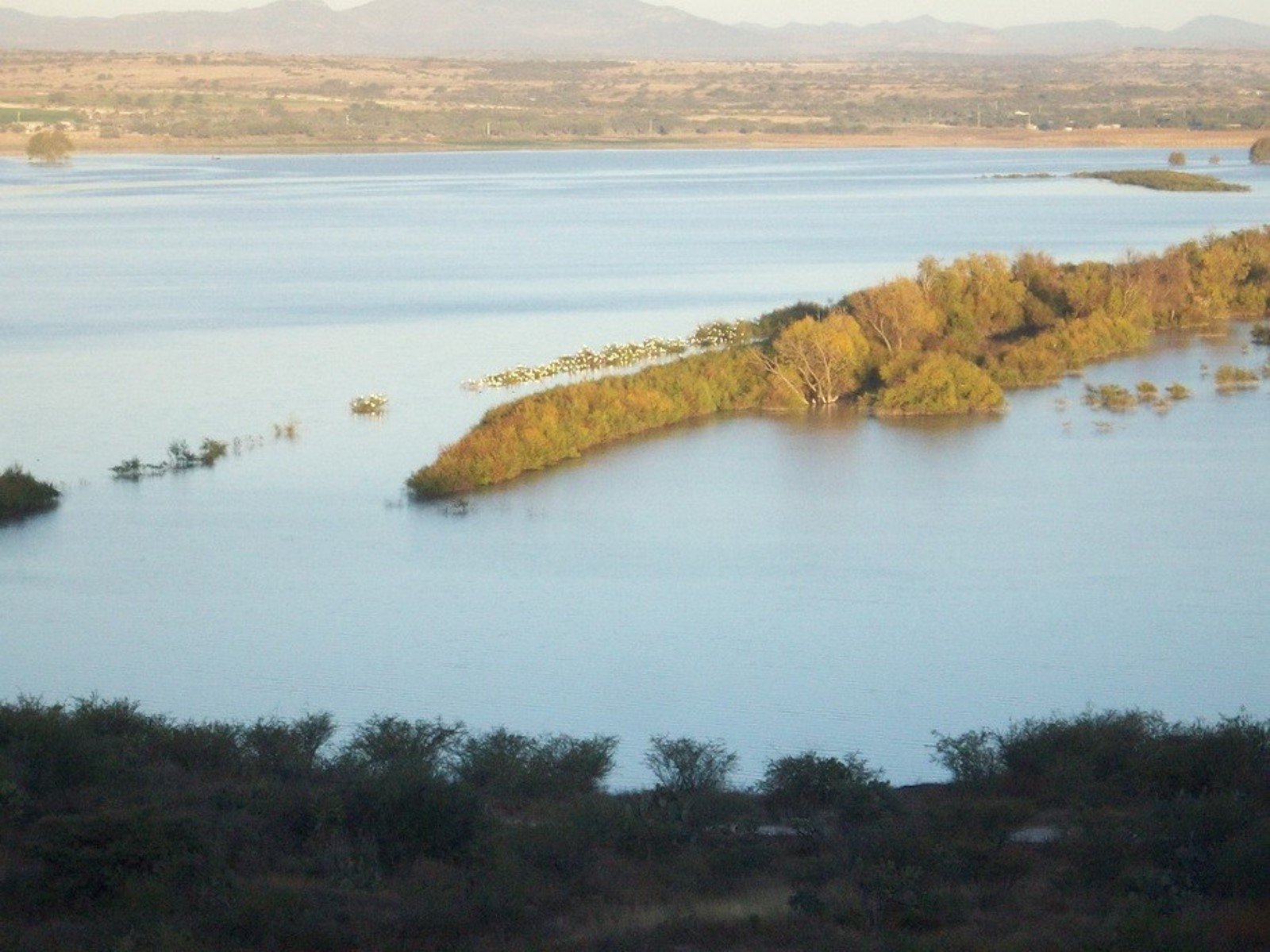 VENTA DE TERRENO EN SAN MIGUEL DE ALLENDE A PIE DE LA PRESA - Image 4
